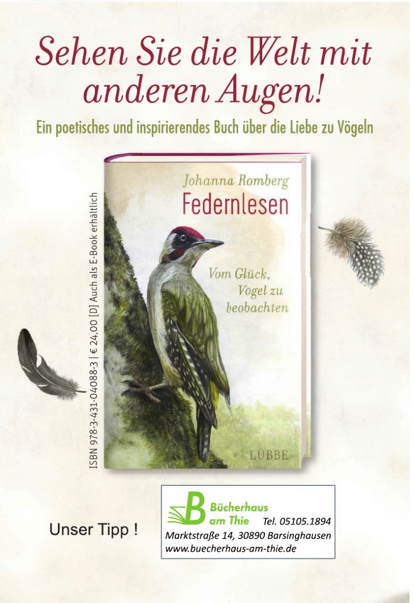 Bücherhaus am Thie